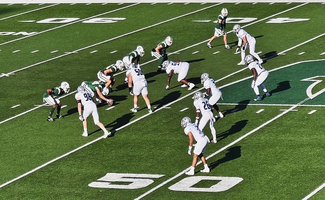 它竟然会 它竟然会