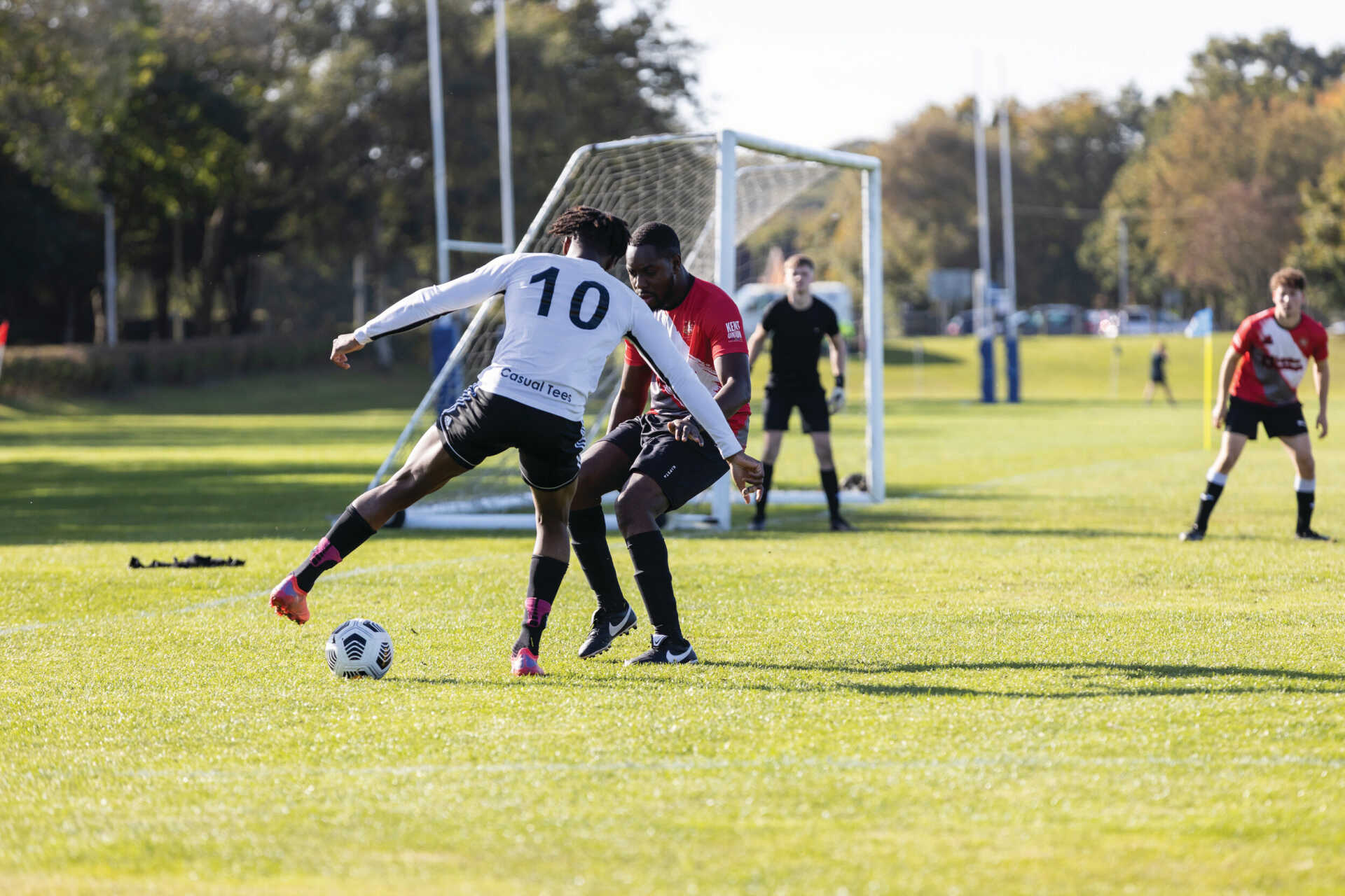 球迷可能已 球迷可能已